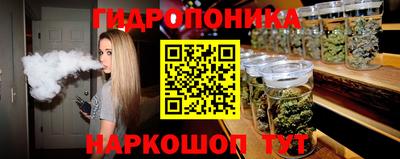 СК Шахты